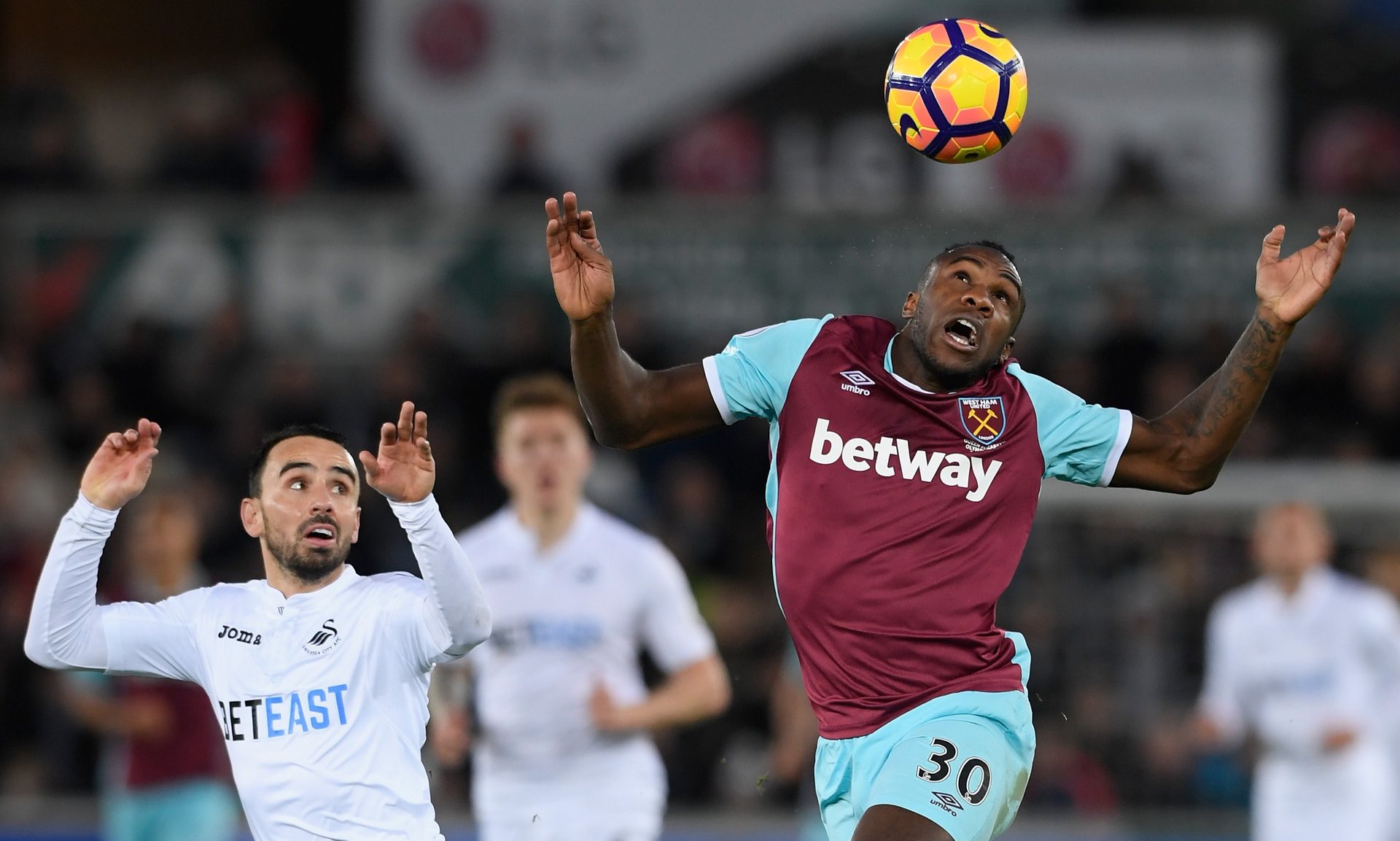 这往往不仅 这往往不仅